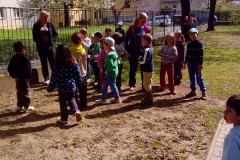 ms-kamarad-2015-019
