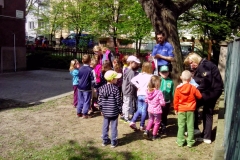 ms-kamarad-2015-026