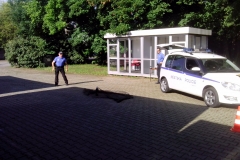 dozivotabezkarambolu01