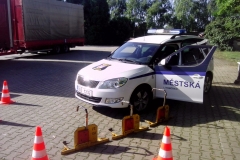 dozivotabezkarambolu03