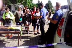 dozivotabezkarambolu20