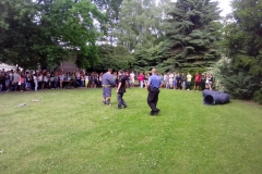 dozivotabezkarambolu34