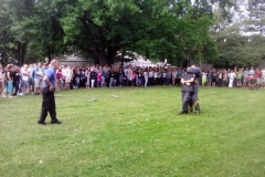 dozivotabezkarambolu36