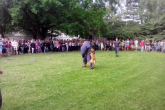 dozivotabezkarambolu39