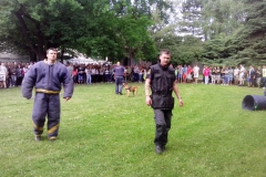dozivotabezkarambolu40