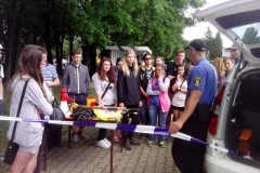 dozivotabezkarambolu53