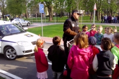 den_bez_urazu_2015_003