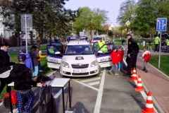 den_bez_urazu_2015_006