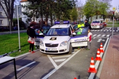 den_bez_urazu_2015_009