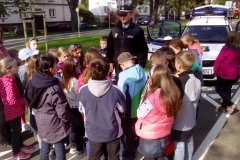 den_bez_urazu_2015_016