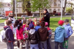 den_bez_urazu_2015_017