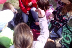 den_bez_urazu_2015_025