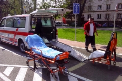 den_bez_urazu_2015_028
