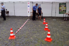 img_20150904_141613